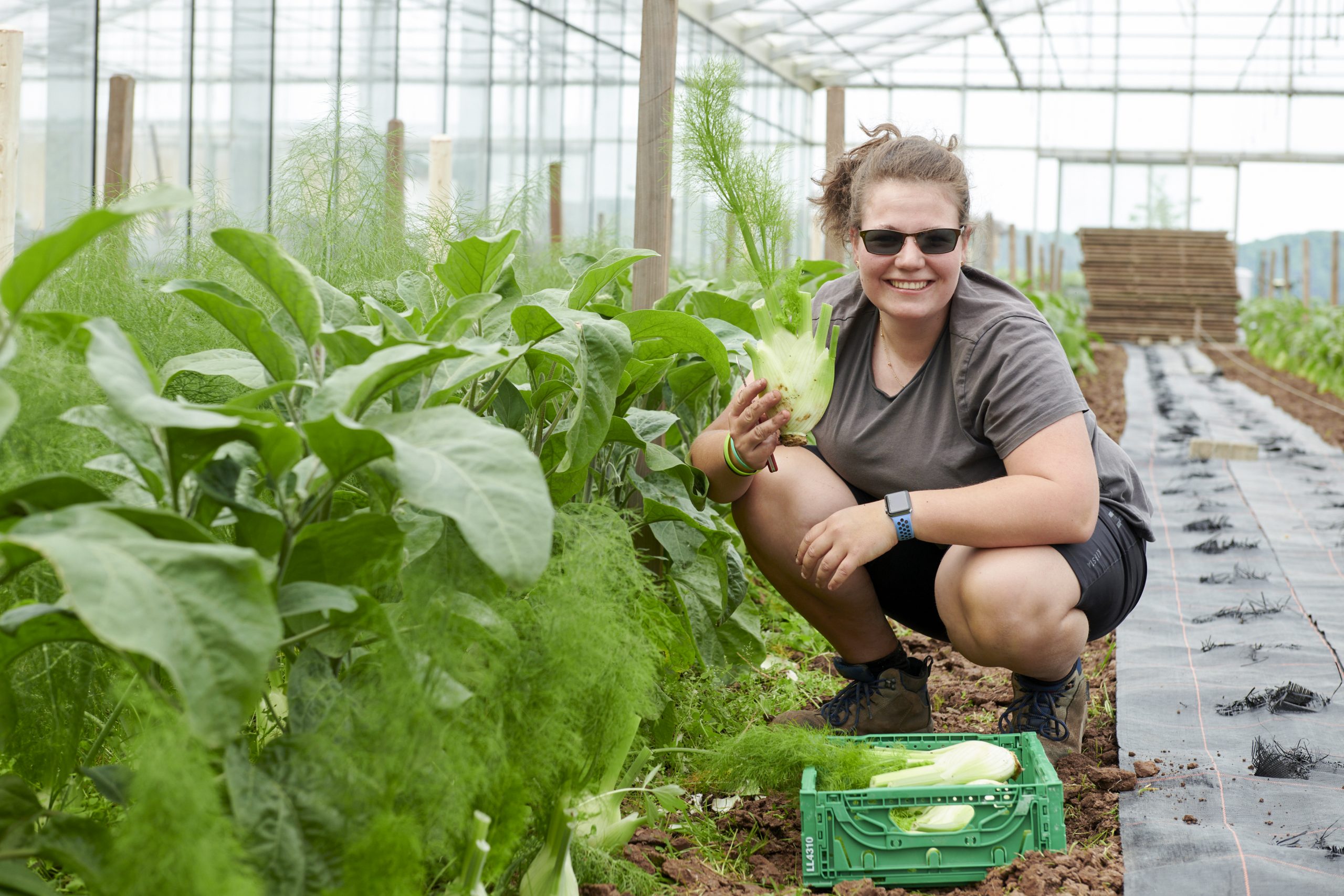 Gemüsebau BioGarten Flechtdorf