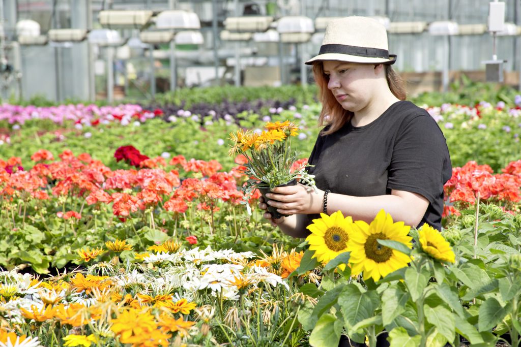 Ausbildung zur Floristin im Bio-Garten Flechtdorf