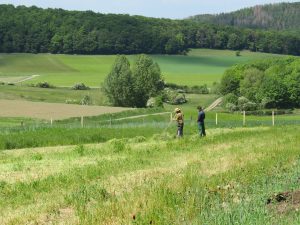 Bewerbung Freie Stellen - Arbeitsplätze im Bio-Garten-Flechtdorf