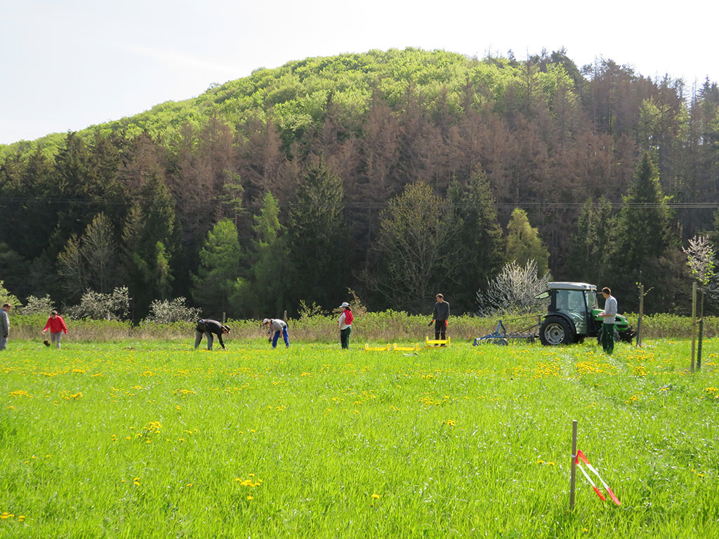 Menschen arbeiten auf dem Feld