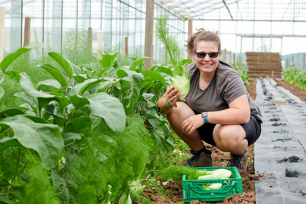 junge Frau erntet Fenchel