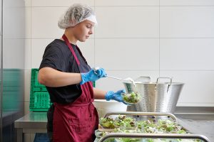 Hauswirtschaft