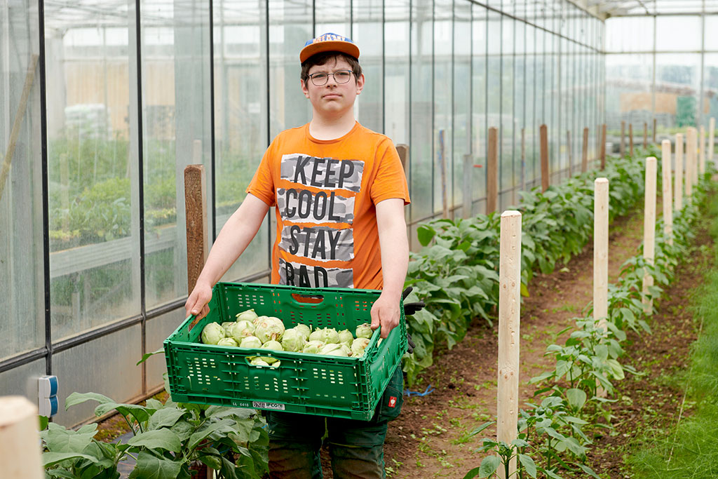 ein junger Mann trägt eine Kiste mit Kohlrabi