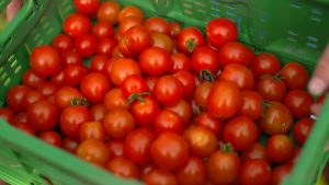 Tomatenkiste