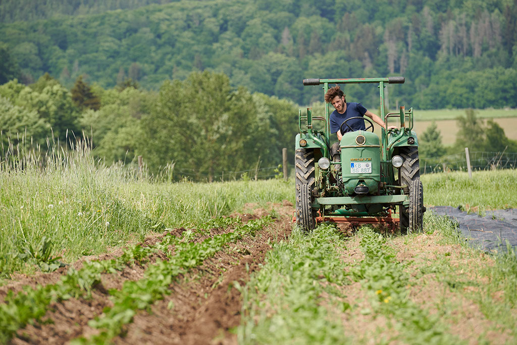 Mann auf altem Traktor bei der Feldarbeit