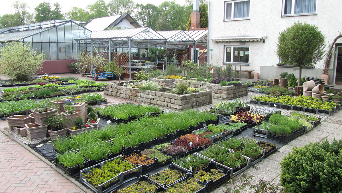 Bio-Garten Standort Bad Arolsen Blick auf einige Bette am Standort Bad Arolsen