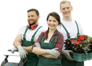 Bewerbung Freie Stellen - Arbeitsplätze im Bio-Garten-Flechtdorf