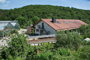 Biogarten vor grünem Hügel