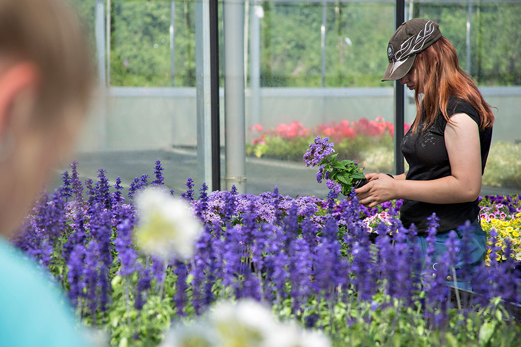 Junge Frau mit lilafarbenen Blumen im Gewächshaus